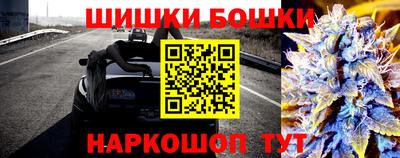 гашик Лесосибирск