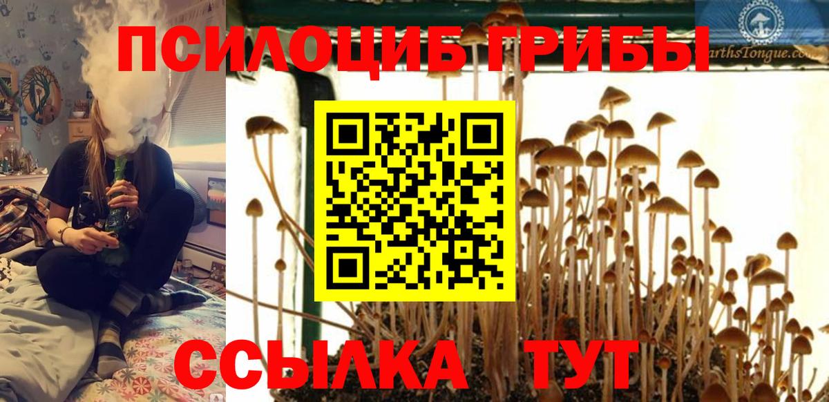 Галлюциногенные грибы MAGIC MUSHROOMS Черняховск