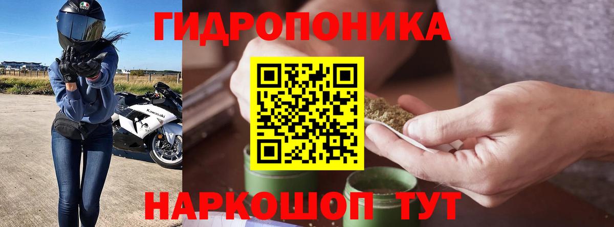 Канабис сатива Черняховск